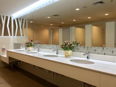 Modern Vanity Area